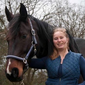 Homeopathie en voedingsadviezen voor Paarden